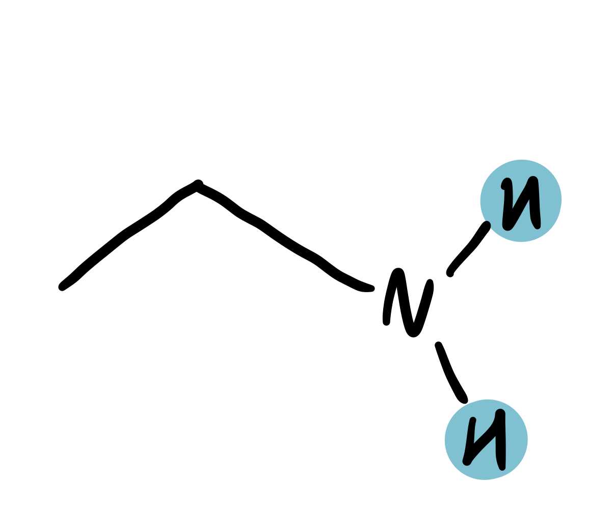 <p>amine (H-N) / alcohol</p>