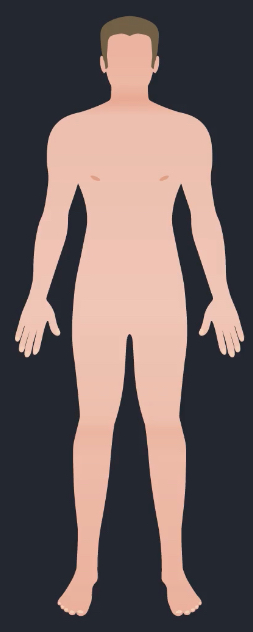 <p>What are the functions of the integumentary system?</p><p></p>