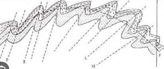 <p>Wat wordt hier voorgesteld?</p><p></p>