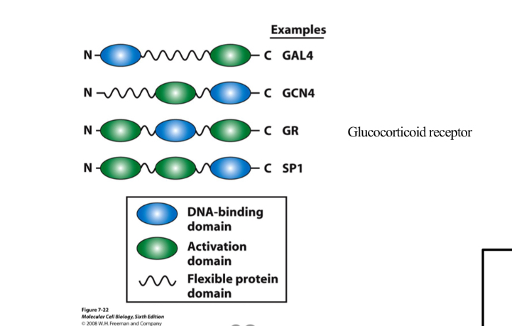 <p>Modular structure ( discrete inteconnected structures)</p>