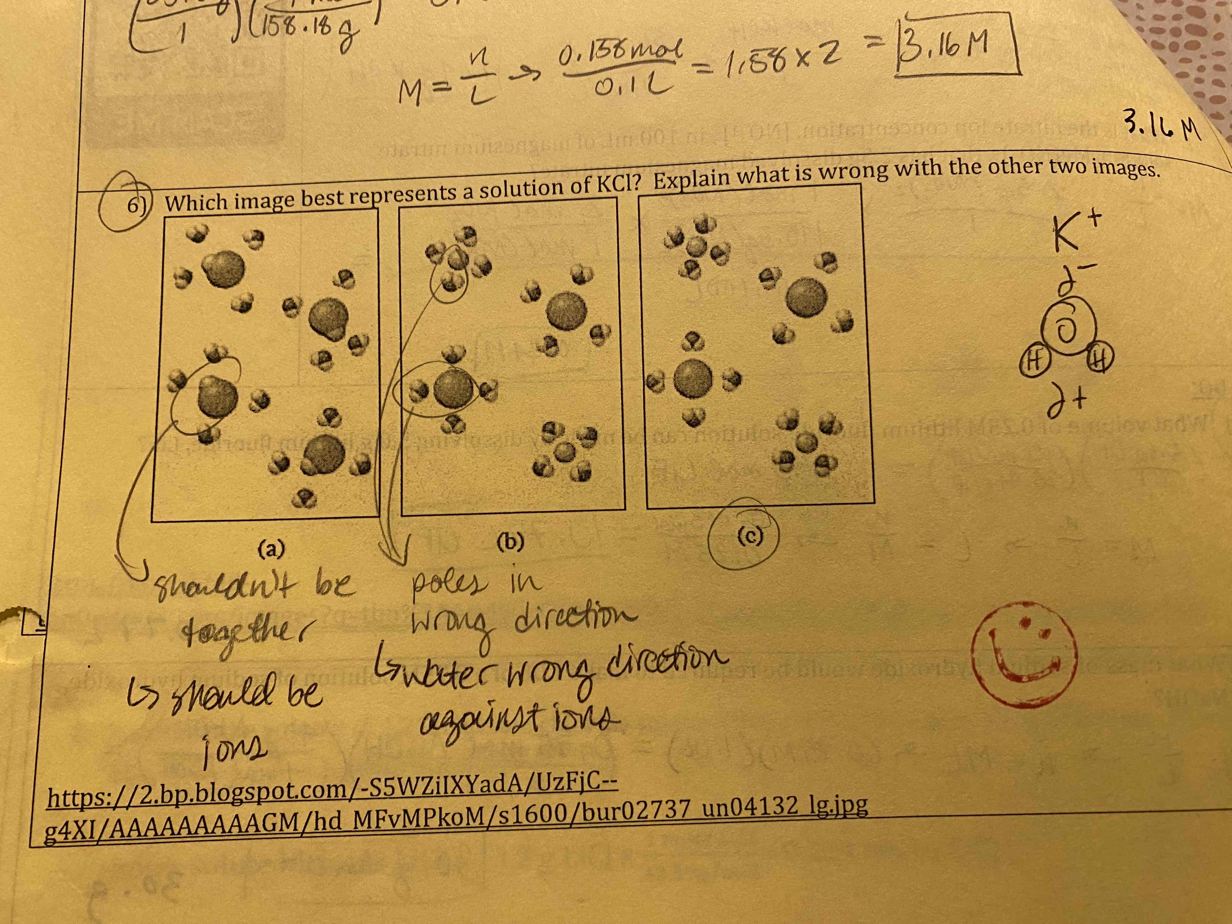 <p>(a) should be ions</p><p>(b) water wrong direction against ions</p><p>(c) correct</p>