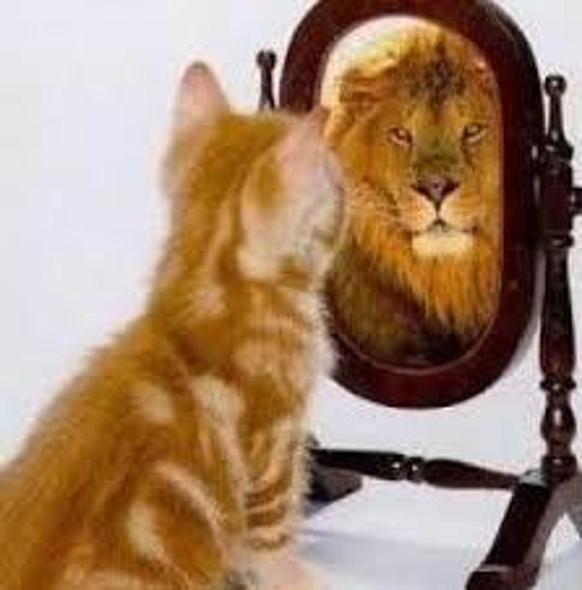 <p>ưu tú, xuất sắc</p>