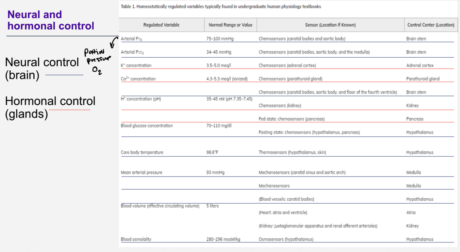 <ul><li><p>the nervous system ( brain ) - neural control&nbsp;</p></li><li><p>the endocrine system - endocrine control&nbsp;</p></li></ul><p></p><p></p>