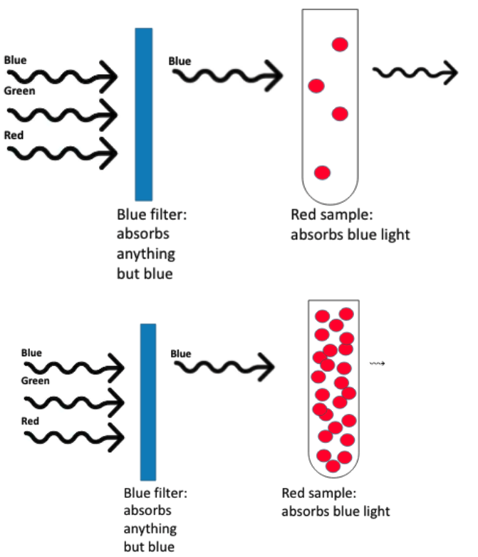 <ul><li><p>at a low sample conc, little light will be absorbed → low absorbance</p></li><li><p>at a high sample conc, lots of light will be absorbed → high absorbance</p></li></ul><p></p>