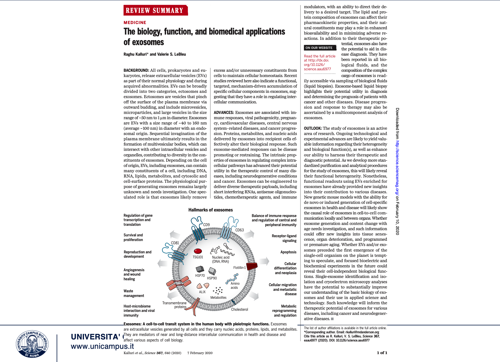<p>Article</p>