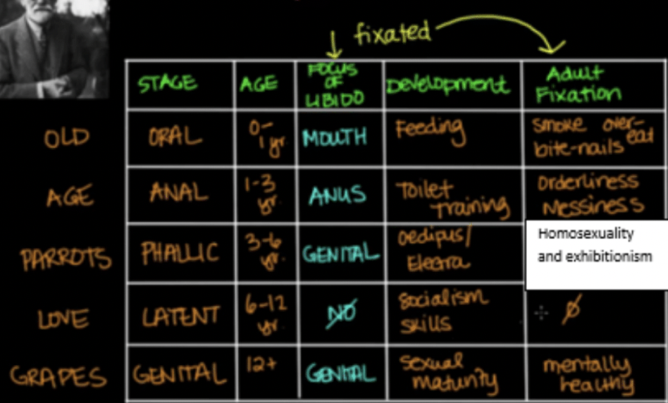 <p>Theory of Development (personality)</p><ul><li><p>Freud</p></li><li><p>Childhood = most important stage for personality development</p></li><li><p>Most personality develops by age 5</p></li><li><p>Influences later behaviour in life</p></li><li><p>5 stages</p><ul><li><p>If issues - fixation</p><ol><li><p>Oral</p></li><li><p>Anal</p></li><li><p>Phallic</p></li><li><p>Latent</p></li><li><p>Genital</p></li></ol></li></ul></li></ul><p></p>