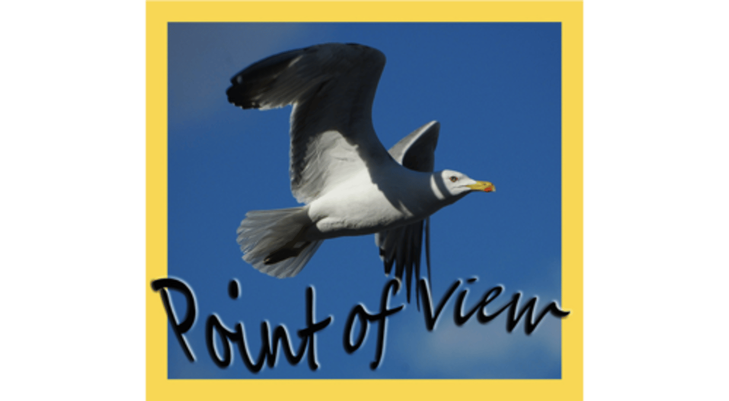 <p>From my point of view</p>