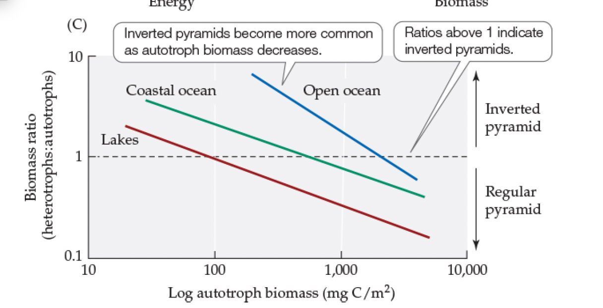 <p>Figure 21.5- Trophic Pyramid Schemes</p>