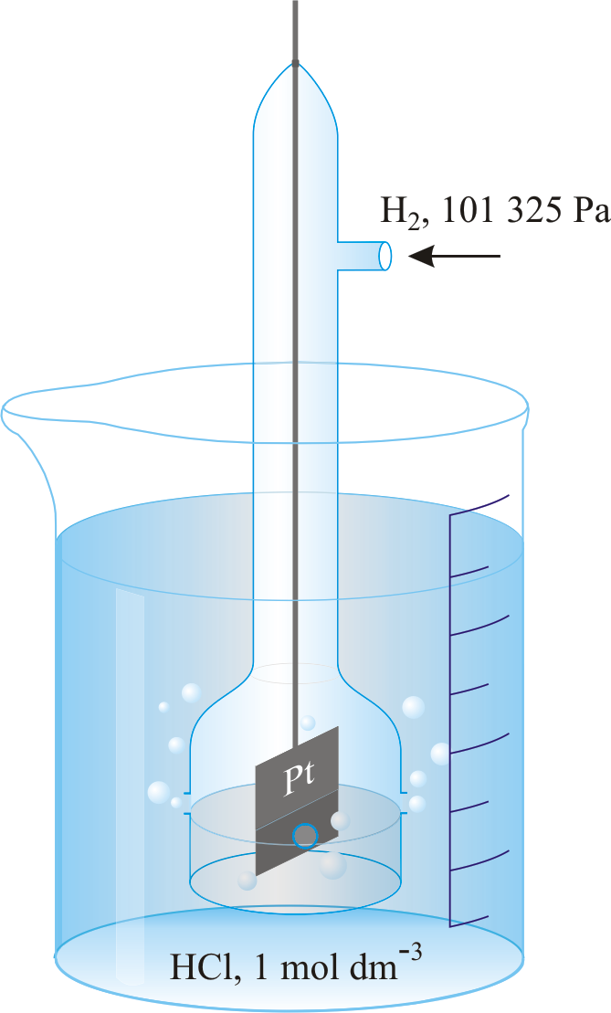 <p>Standard hydrogen electrode</p>