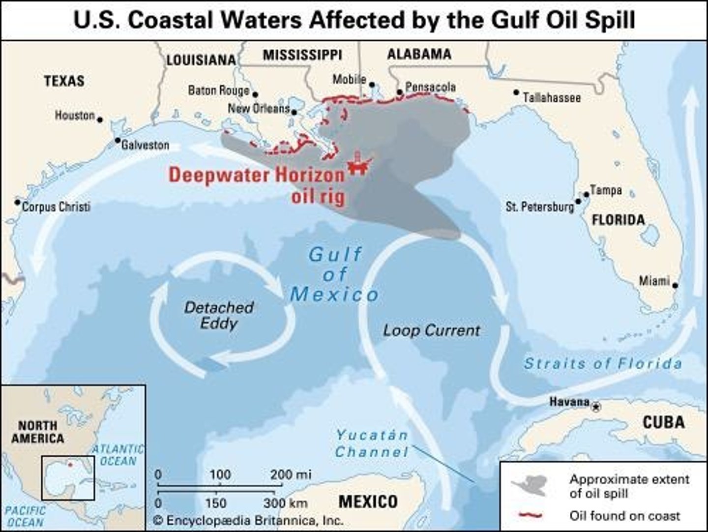 <p>The world's largest accidental ocean oil spill, which spilled more than 780 million liters (206 million gallons) from April 20 to July 15, 2010.</p>