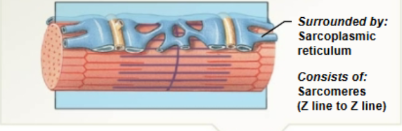 <p>What does this image represent?</p>