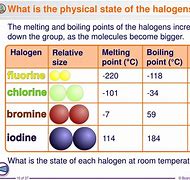 <p>Fluorine (gas)</p><p>Chlorine (gas)</p><p>Bromine (liquid)</p><p>Iodine (Solid)</p>