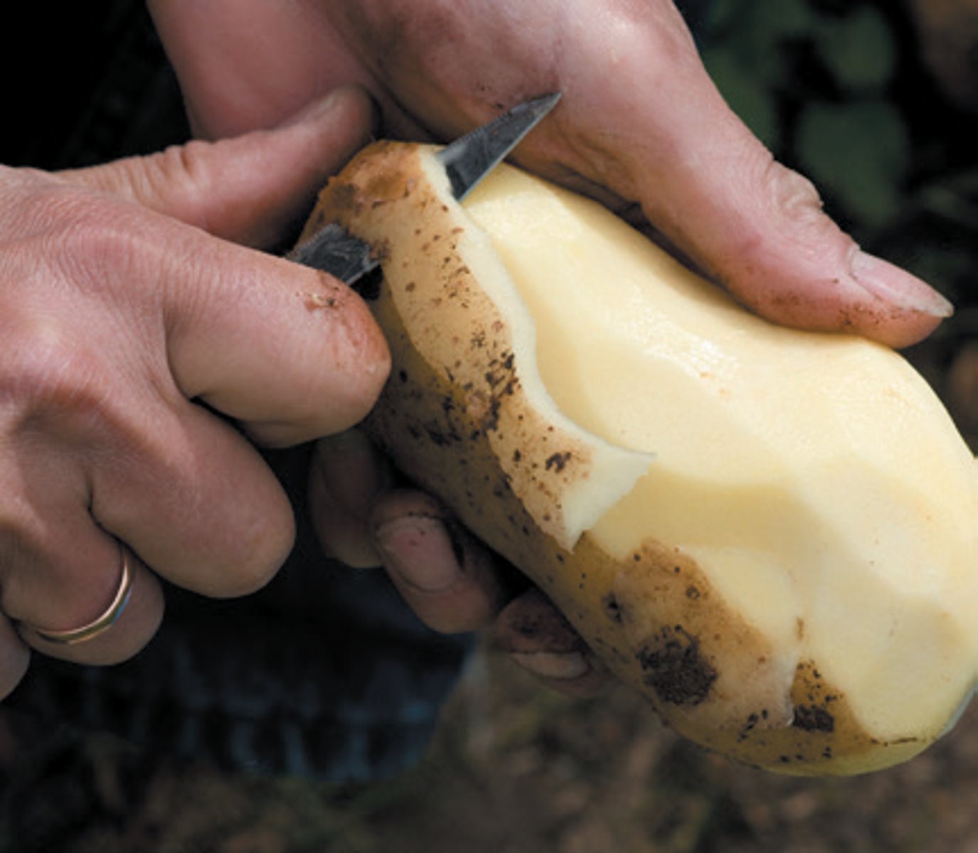 <p>to peel</p>