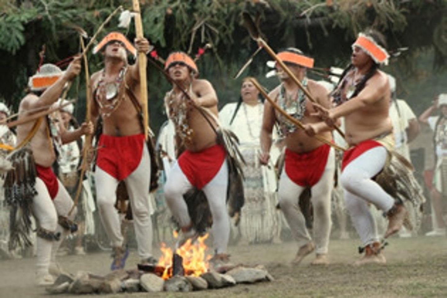 <p>/ə ˈtraɪbəl dæns/ • Phrase • A dance performed by a tribe, often for ceremonial purposes. • Điệu múa bộ lạc. • We watched a tribal dance at the cultural event.</p>
