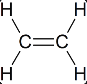 <ul><li><p>double bonded alkane </p></li><li><p>name where double bonds are located</p></li></ul>