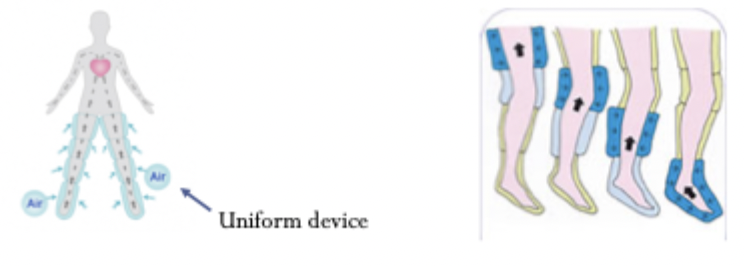 <p>sequential = goes in sequence </p><p>uniform = all at once </p>