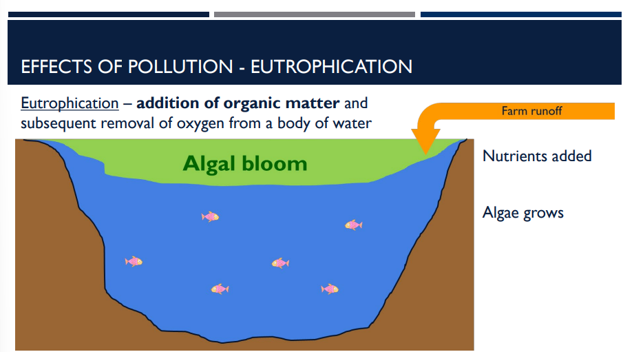 <p>the addition of organic matter and subsequent removal of oxygen from a body of water is an effect of pollution called _____</p>