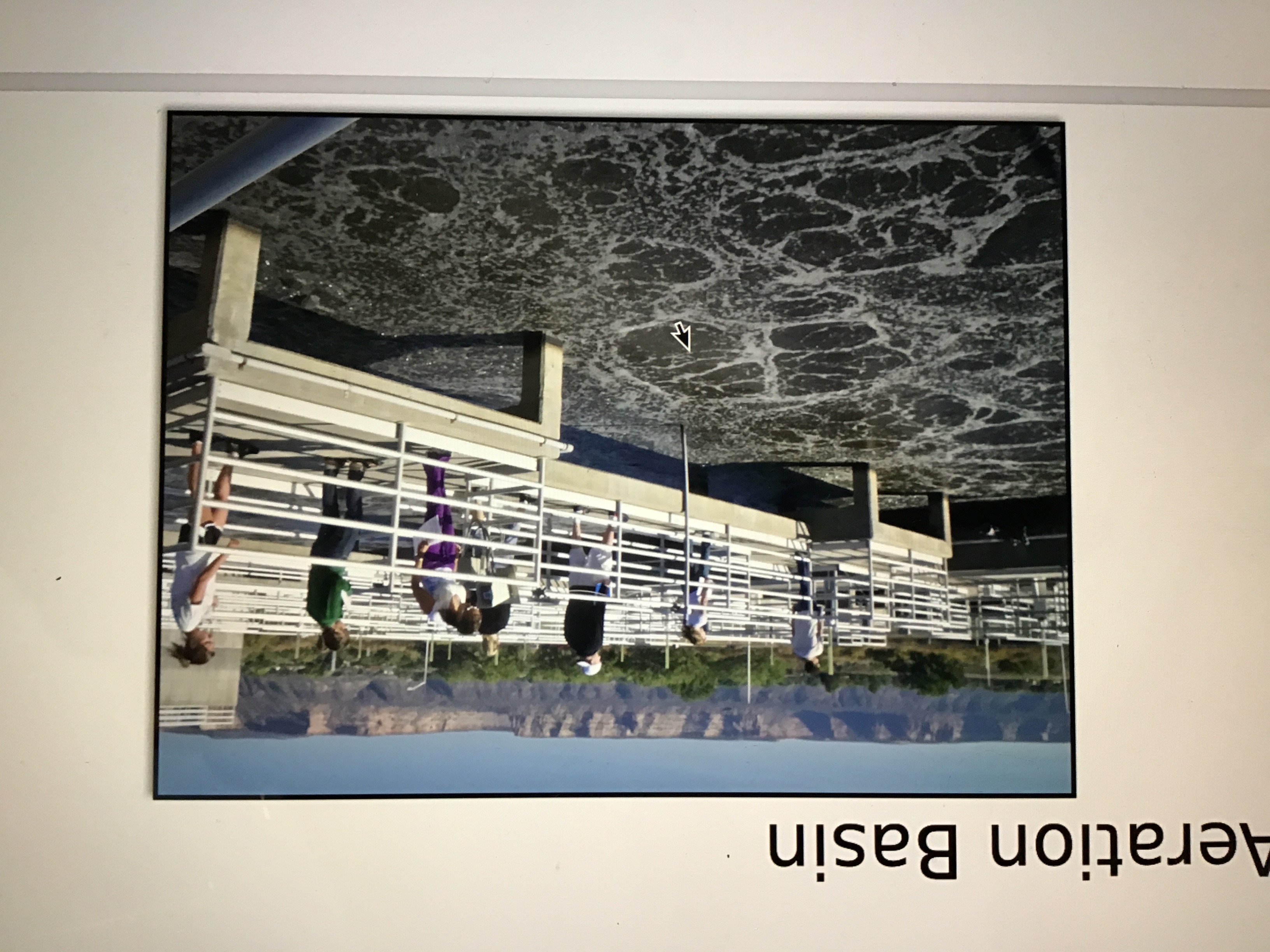 <p>the top fluid portion of the primary clarifier which contains about 10 percent of the fecal material is mixed with aerobic microorganisms that break down the fecal material. fluid is then pumped to the final clarifier.</p>
