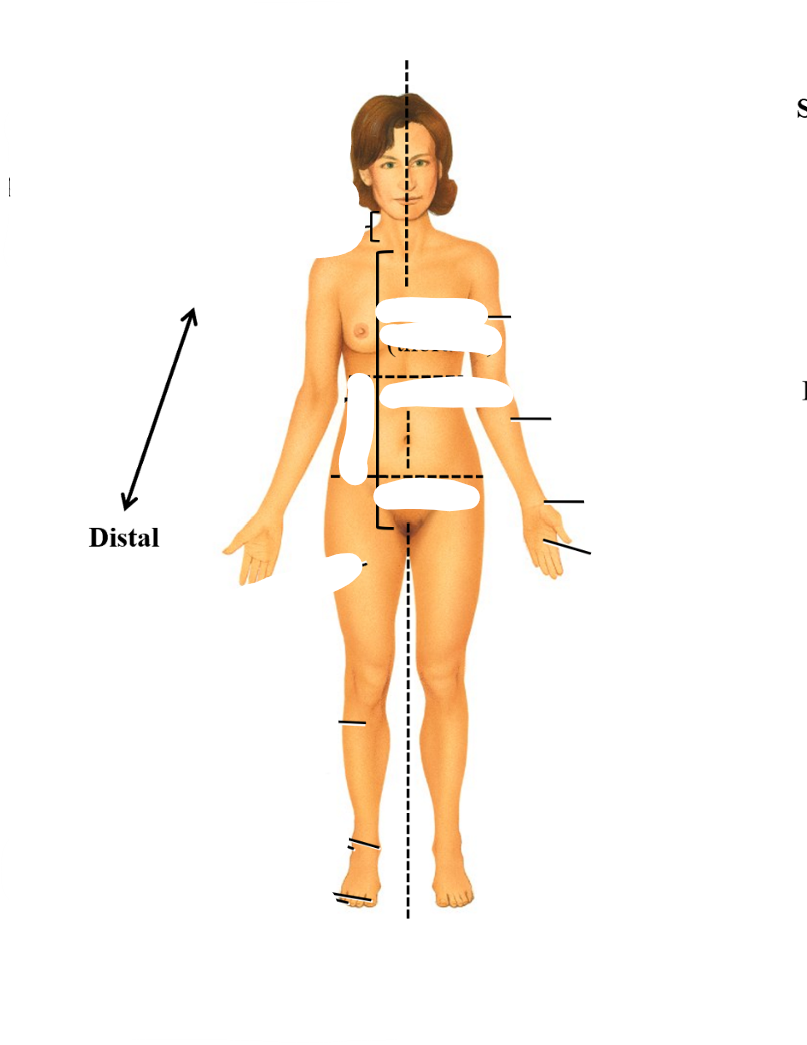 <p>distance further away from body</p>
