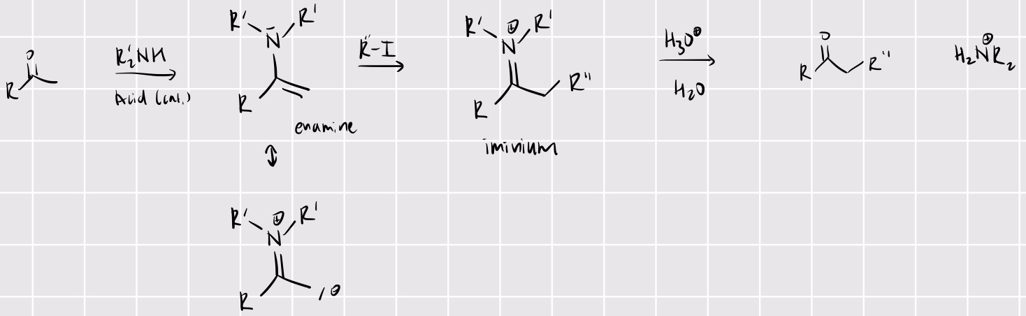 <p>dean-stork alkylation</p><p>enamine + R-I —&gt; iminium + acid —&gt; alkylated ketone/aldehyde with one more carbon added</p>