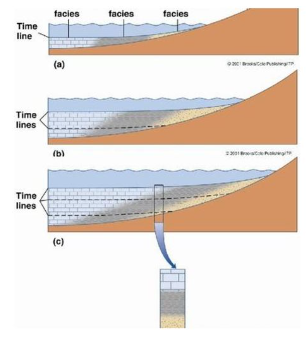 <p>Any vertical succession of facies, if the sequence has no big gaps, those facies were originally side-by-side . Caused by sea level changes.</p>
