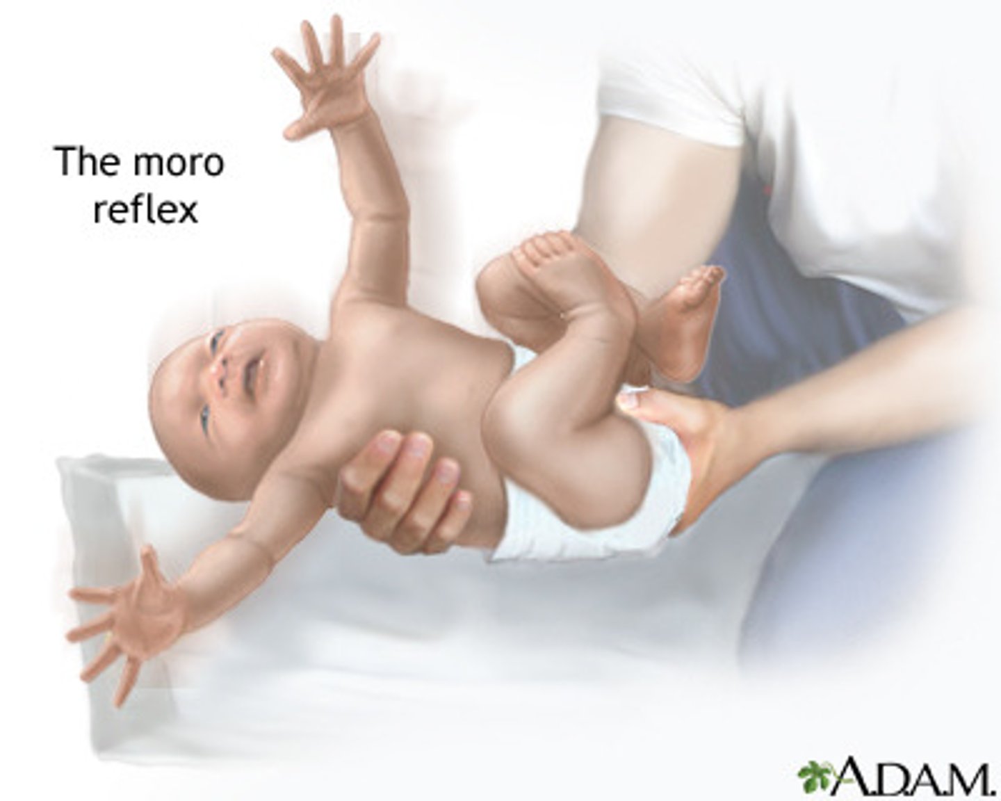<p>When you drop a baby, it will throw its arms up in the air instinctively. This is an example of a reflex.</p>