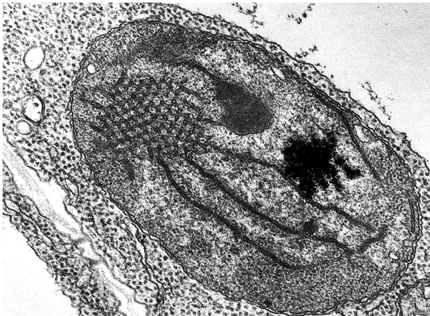 <p>Explain the context of this image.</p>