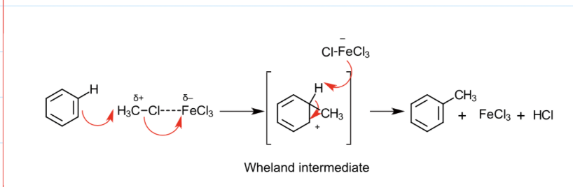 <p>CH<span><sub>3</sub></span>Cl + FeCl<span><sub>3</sub></span> –––> CH<span><sub>3</sub><sup>+</sup></span> + FeCl<span><sub>4</sub><sup>-</sup></span></p><p></p><p>FeCl<span><sub>4</sub><sup>-</sup></span> + H<span><sup>+</sup></span> –––> FeCl<span><sub>3</sub></span> + HCl</p><p></p><p>C<span><sub>6</sub></span>H<span><sub>6</sub></span> + CH<span><sub>3</sub></span>Cl –––> C<span><sub>6</sub></span>H<span><sub>5</sub></span>CH<span><sub>3</sub></span> + HCl</p>