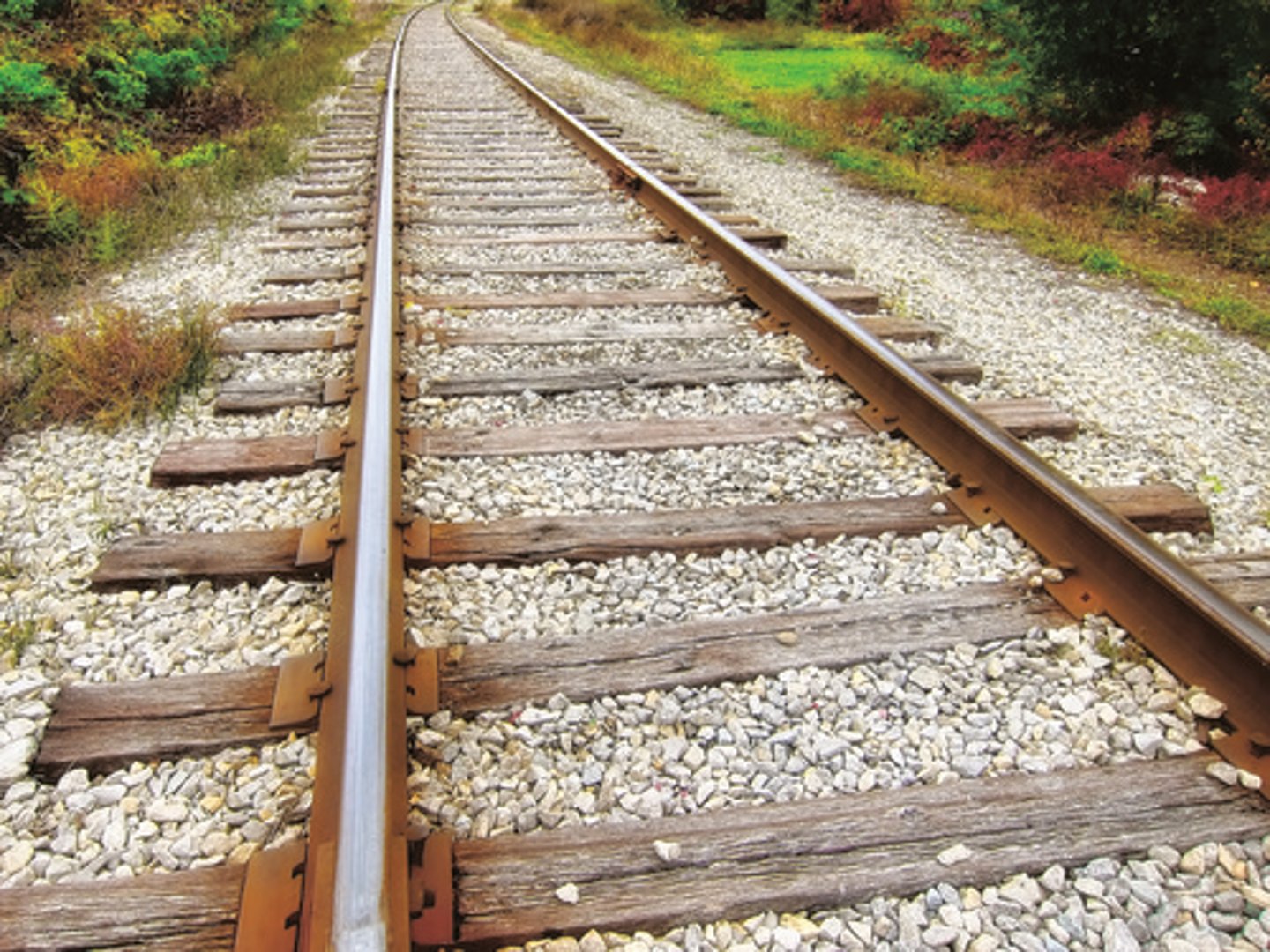 <p>track</p>