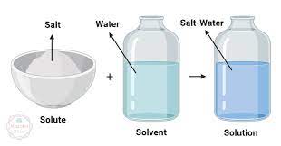 the substance that dissolves in a solvent to produce a homogeneous mixture.