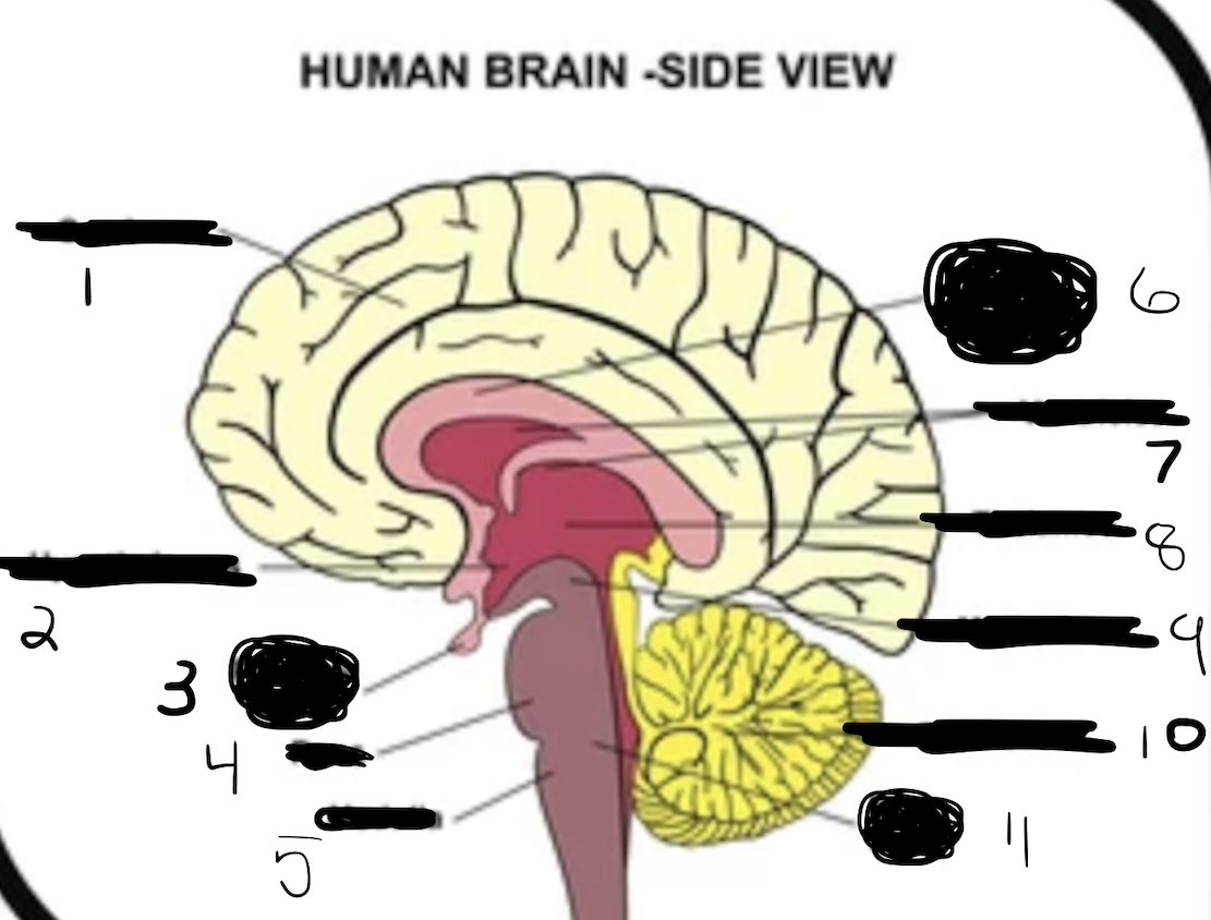<p>1</p>