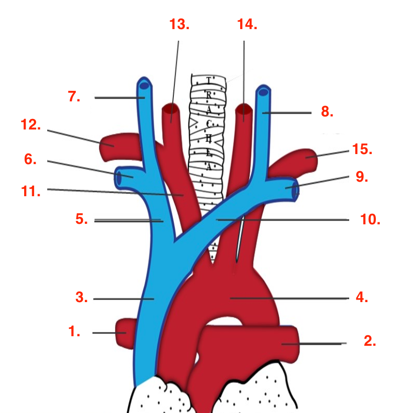 <p>Identify this image. </p>