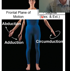 <p>A combination of the Medial-lateral axis and anterior posterior axis makes a circular motion called circumduction. Happens in frontal and sagittal plane of motion. </p><p></p><p>It is a combination of abduction and adduction and extension and flexion. Happens with anything able to do abduction/adduction and extension and flexion like the shoulder or finger. you can move both in circles cuz u can abduction/adduction and extension /flexion can happen with them</p>