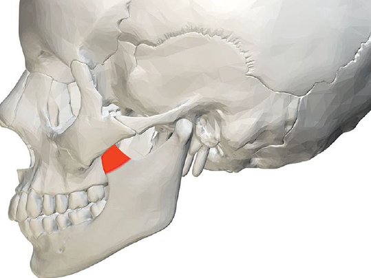 <p>What is this part?</p>