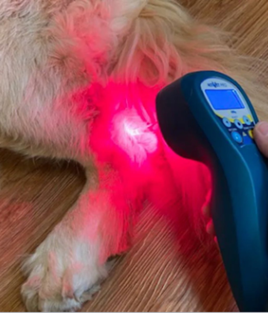 <p>Which type of acupuncture uses low intesity cold lasers to stimulate acupuncture points instead of needles?</p>