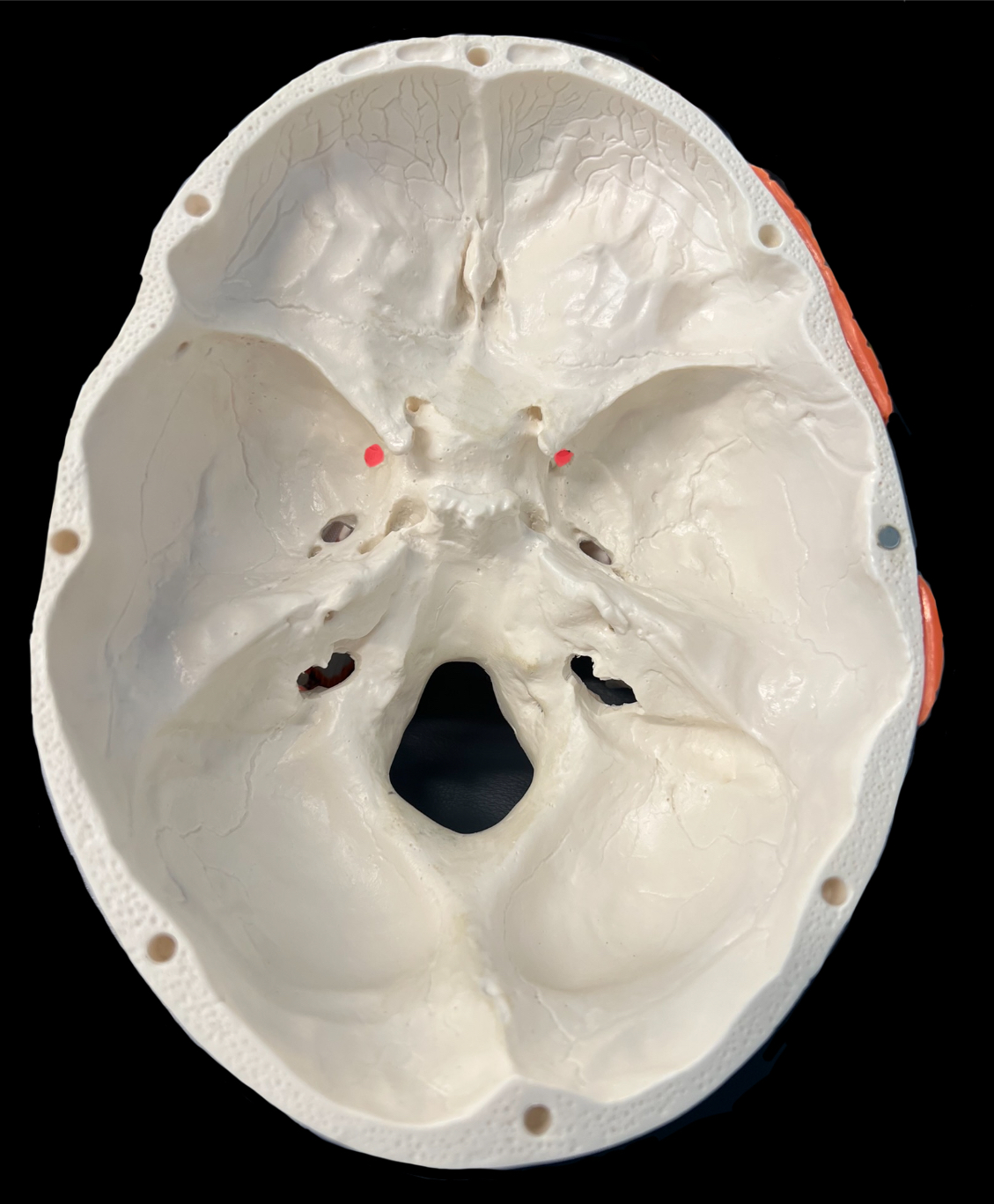 What is highlighted in red?

What goes through it?