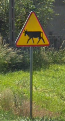 <p>Unique only to this country, yellow sign with thin red border</p>