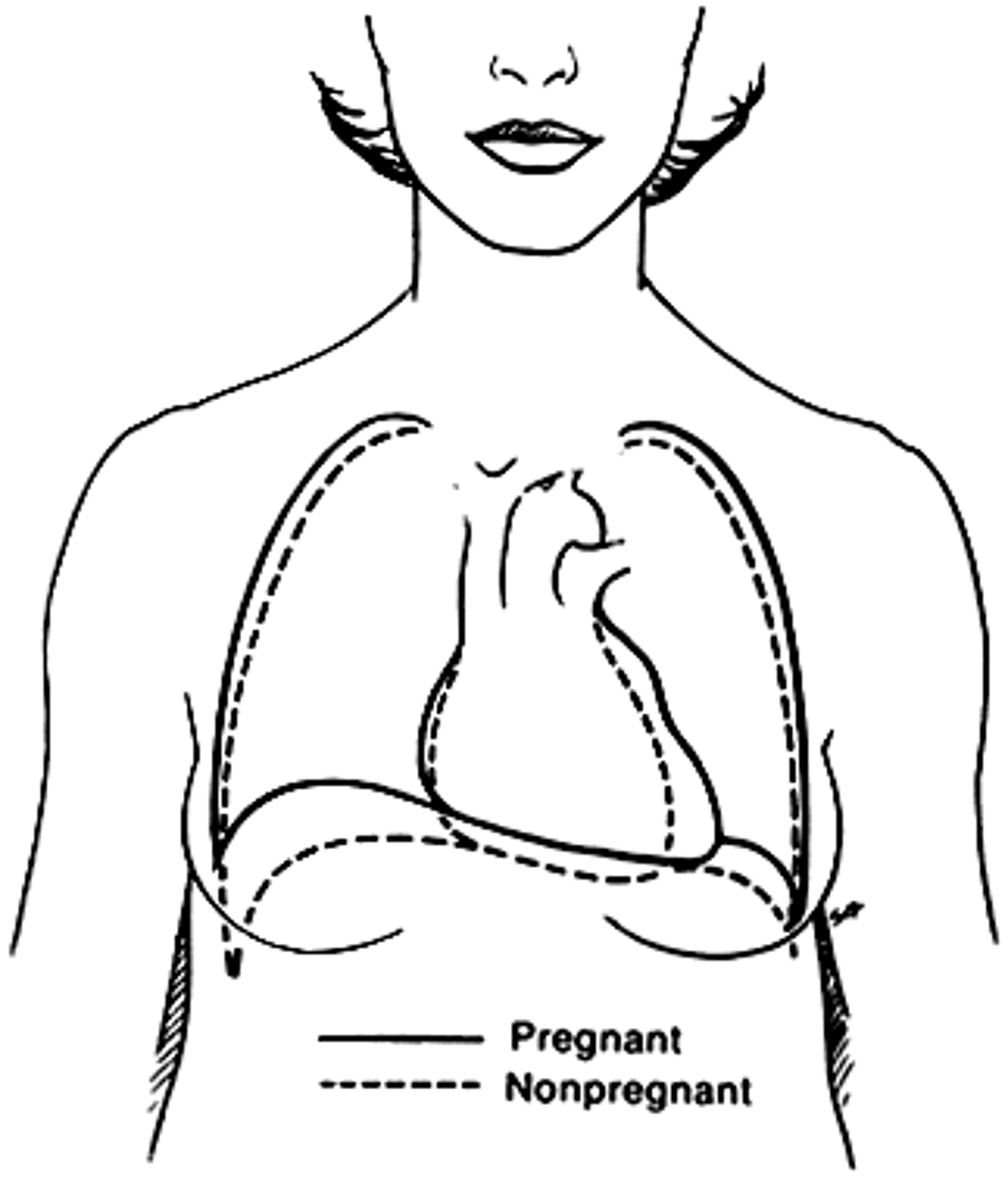<p>Internal, automatic body processes that help an organism survive in its environment (e.g. venom/poison)</p>