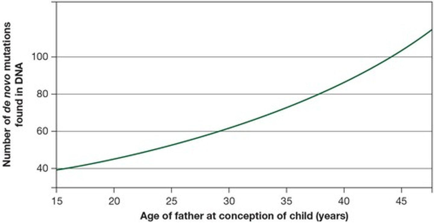 <p>Older fathers have a higher likelihood of having children with autism due to increased mutations.</p>