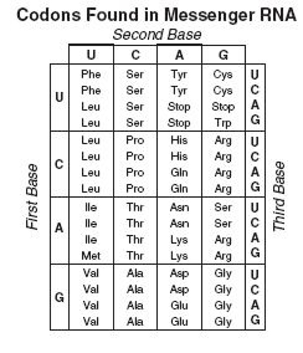 <p>A. 2<br>B. 3<br>C. 1</p>