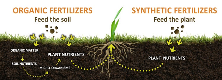 <p>Synthetic fertilizers</p>