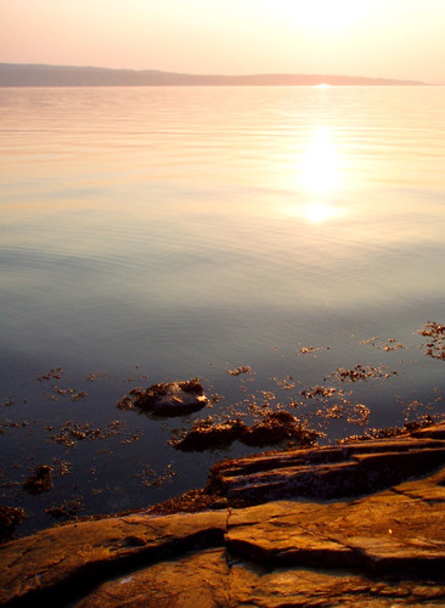 <p>calm; quiet</p>