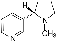 <p>identify the structure</p>