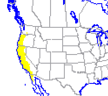 <p>Which species fits the following habitat and management concerns?</p><p><br>Habitat: Stubble fields, fence rows, grazed pasture lands, road sides, active agricultural fields </p><p>Management issues: Important prey species; can be agricultural pests by feeding on crops and other vegetation; burrows degrade dikes in ag fields</p>
