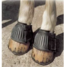 <p>what piece of tack does this image show?</p>