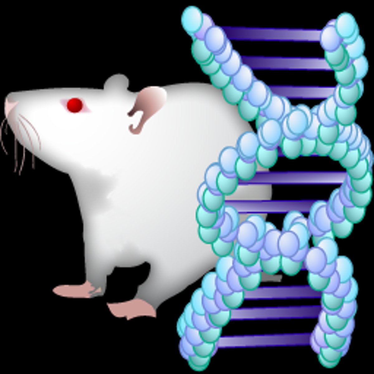 <p>The scientific study of heredity</p>
