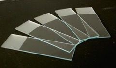 -the rectangular glass plate on which the specimen is mounted and/or preserved on