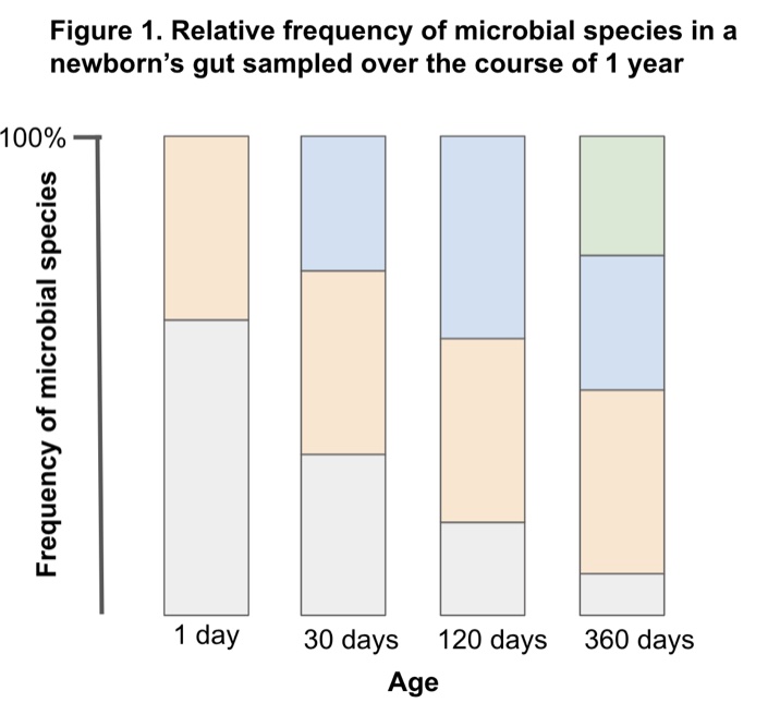 <p>The frequency of the grey taxa decreased by 50% at each time point sampled.</p><p>The baby had a more diverse gut microbiome after 1 year, with diversity measured as the number of species present</p>