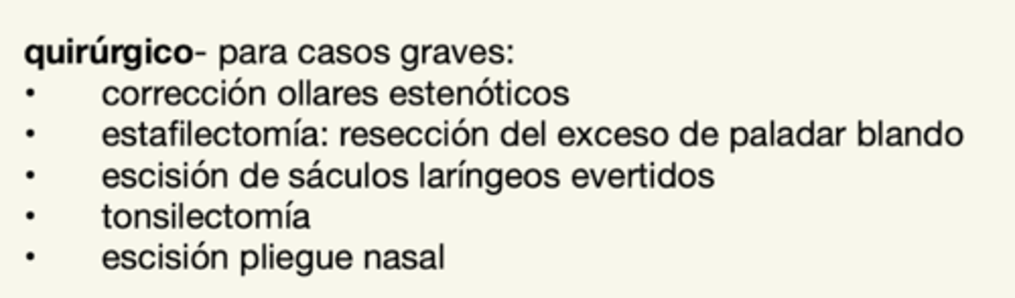 <p>no, necesitamos hacer otra cirugía correctiva también</p>