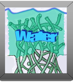 <p>can see that the dentine has been removed from the collagen fibrils&nbsp;</p><p>this is then replaced with water - its important that the surface of the tooth doesn’t dry out&nbsp;</p><p></p>